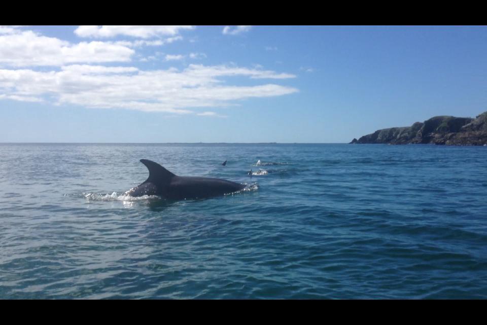 Dolphin Beach House Hotel Clifden Zewnętrze zdjęcie