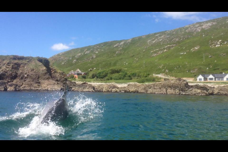 Dolphin Beach House Hotel Clifden Zewnętrze zdjęcie