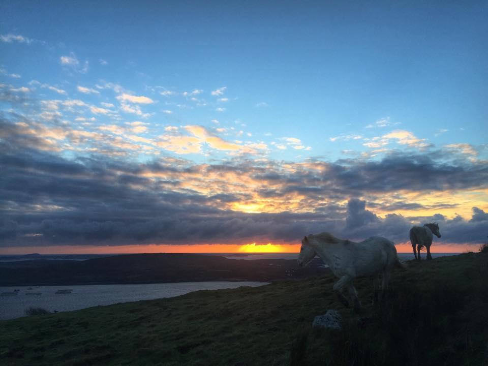 Dolphin Beach House Hotel Clifden Zewnętrze zdjęcie